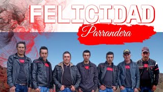 Mi Declaración  Felicidad Parrandera [upl. by Hcirdla]