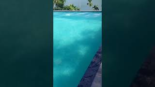 Lagoon holiday 🥰 Kozhikode narinada Resortfamily vlog [upl. by Adnahsam]