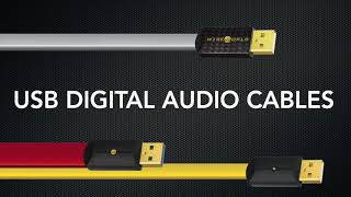 USB 20 30 and 31 Digital Audio Cables [upl. by Edette]