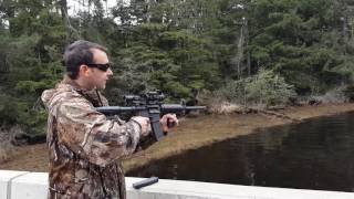 Ruger AR 556 Semi Auto NATO 223 shooting [upl. by Auric]