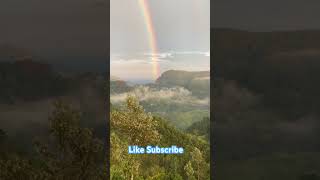 rainbow bird ella nature animals srilanka naturephotography resort tress mountains tea [upl. by Isabel]