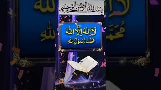 Malak Imtiazd5s answer duet love wazifa dua quran amal trending [upl. by Enilegna172]