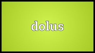 Dolus Meaning [upl. by Andaira]