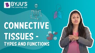 Connective Tissues  Types And Functions I Class 9 I Learn with BYJUS [upl. by Ennaylloh]