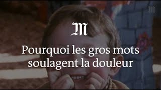 Pourquoi les gros mots soulagent la douleur [upl. by Naga927]