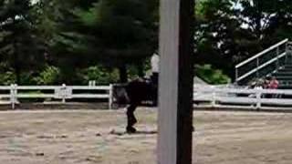 Friesian Dressage Grand Finale [upl. by Anaicilef]