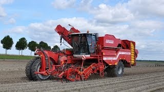 Grimme Varitron 270  Pootgoedbedrijf Ryckaert  plantaardappelen rooien [upl. by Consalve]