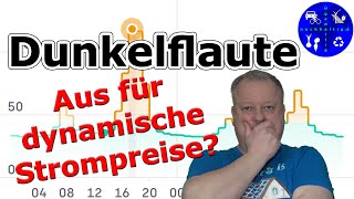 Macht die Dunkelflaute dynamische Strompreise zu teuer Unsere Stromkosten im November [upl. by Jari299]