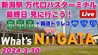 新潟駅 万代口バスターミナル最終日 見届けに行こう！＋国道ドラレコ460･116･113号線 2024330【ぴかーど47at】 [upl. by Eimrej]