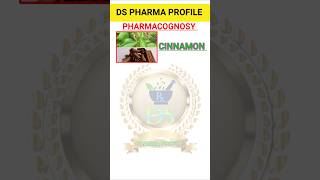 CINNAMON pharmacognosy drug shorts shortsfeed rrb gpat [upl. by Vullo]