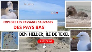 On se pose à Den Helder en haut des pays bas et on visite lîle de Texel inscrite a lUNESCO [upl. by Dusza]