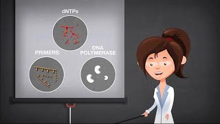 Basics of PCR [upl. by Delanie808]