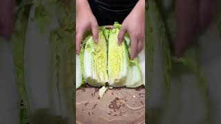 How to cut Cabbage amp Vegetables cutting Activity cuttingskils [upl. by Kono503]