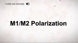 M1M2 Polarization [upl. by Evelina330]