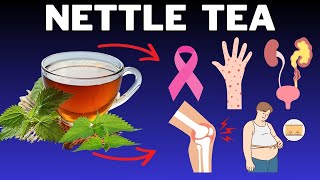 7 scientifically proven benefits of nettle tea [upl. by Ellirpa]