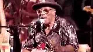 Bo Diddley  Crackin Up  Gainesville 61706 [upl. by Felike203]