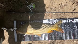 Carp Fishing in Central West NSW  Cleaning out the rivers [upl. by Atelokin]