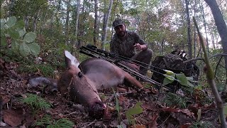 Boyd County Ky Doe Harvest [upl. by Orravan973]