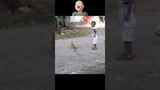 El que está quieto se deja quieto 😂😂 viralvideo humor risassanas risasymasrisas funny reels [upl. by Gamal332]