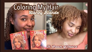 DYING MY HAIR HONEY BLONDE  NO BLEACH  Life with Bria Reneé [upl. by Devlin]