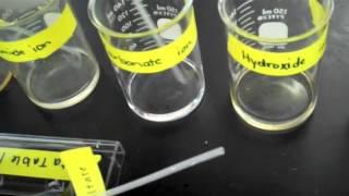 Making Ionic Compounds Experiment [upl. by Marketa]