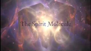 DMT  Trailer La molécula espiritual 16 [upl. by Lukasz]