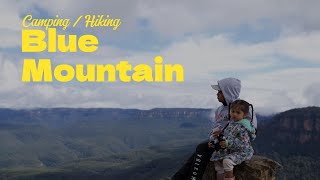 Camping and Hiking in BLUE MOUNTAIN  Cathedral Reserve CampingGrand Canyon Track EP5 [upl. by Anial764]