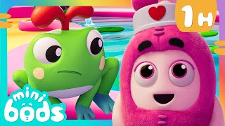 Helping Oddfrog Heal  Minibods  Mini Oddbods  Baby Oddbods  Funny Cartoons For Kids [upl. by Milewski784]