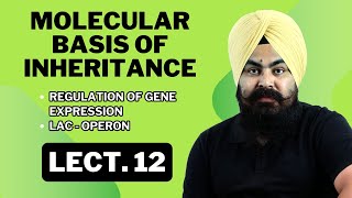 Molecular Basis of Inheritance  LECTURE 12  Complete NCERTBased Lecture  BIOLOGY ncert [upl. by Yesiad226]