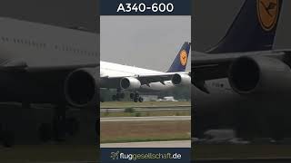 Lufthansa´s Captain Claus quotQuax 747quot Airbus A340600 landing Runway 25R FRANKFURT Airport [upl. by Hermon]