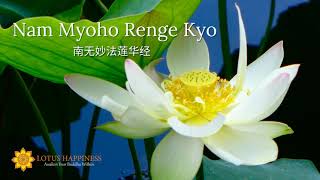 ❤️Nam Myoho Renge Kyo ❤️  🌻Daimoku 🌻 Nichiren Buddhism 🌈 [upl. by Mukerji]