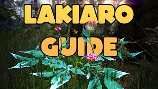 Lakiaro Guide  What Where Why How Much  Black Desert online [upl. by Yracaz726]