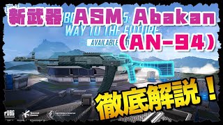 【PUBG】新武器ASM Abakan AN94 徹底解説【187】 [upl. by Hewet98]