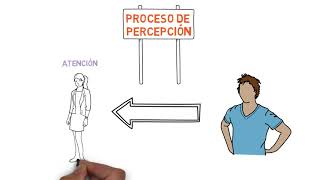 Sensación y Percepción [upl. by Ahsitruc143]