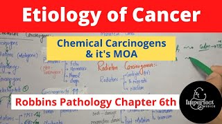 ETIOLOGY OF CANCERChemical CarcinogensMechanisms of Action of Chemical Carcinogens [upl. by Socha513]