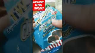 Crocodile eating twiggies ASMR satisfying youtubeshorts viralvideo trending shortvideo short [upl. by Waddington762]