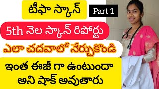 How to read tiffa 5th month scan report in telugu  టిఫ్ఫ స్కాన్ రిపోర్ట్ ఈజీ గా ఎలా చదవాలి [upl. by Deryl]