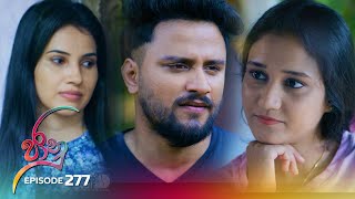 Jaanu  Episode 277  20240318  ITN [upl. by Enneles]