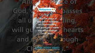 God’s Peace  Philippians 47  Daily Encouragement from Gods Word [upl. by Kayle675]