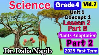 ساينس رابعه ابتدائي ترم اول 2025 Science Grade 4 Concept 1 Lesson 2 Plant Adaptations Part B P2 [upl. by Niwle]