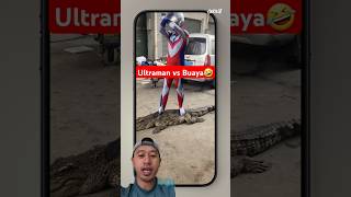 Ultraman vs Buaya ultraman menangkap buaya gaes buaya besar kalah ultraman chrocodile shorts [upl. by Remmos]