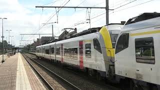 NMBS SNCB  AM08 MR08  Siemens Desiro ML  Kontich  Lint  Brttrainz  Belgie  BE [upl. by Callas]