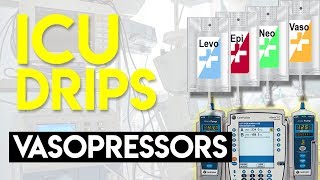 Vasopressors Part 1  ICU Drips [upl. by Ener456]