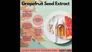 5 Grapefruit Seed Extract Benefits You Won’t Believe shorts [upl. by Gregorius]