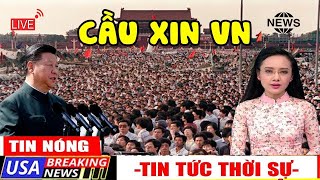 KHẨN CẤP 2703 TINBUỒN ĐẬPTAMHIỆP vỡtannnatst trong lòng ng dân TQ TCBINHnguycấprồi [upl. by Kiraa17]