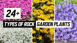 24 Types of Rock Garden Plants  The Planet of Greens [upl. by Eidnew96]