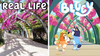 Bluey LOCATIONS in real life Comparing Bluey ICE CREAM episode 47 location to Southbank Brisbane [upl. by Nolahp667]