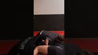 Darce choke from turtle bjj mma jiujitsu grappling [upl. by Ytram539]