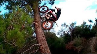 Best Trial Bike Stunts [upl. by Siegfried114]