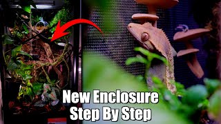 18x18x36quot Bioactive Setup  Crested Gecko Enclosure How To [upl. by Talich]